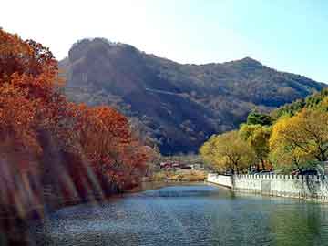 天天彩好彩天天免费，上海钢塑土工格栅